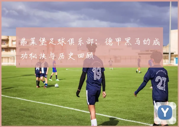 弗莱堡足球俱乐部:德甲黑马的成功秘诀与历史回顾